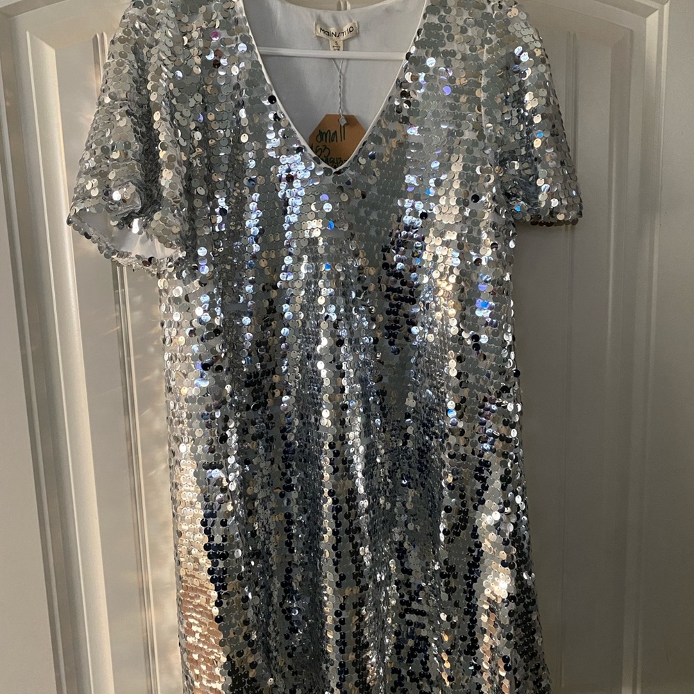 Silver Sequin Dress